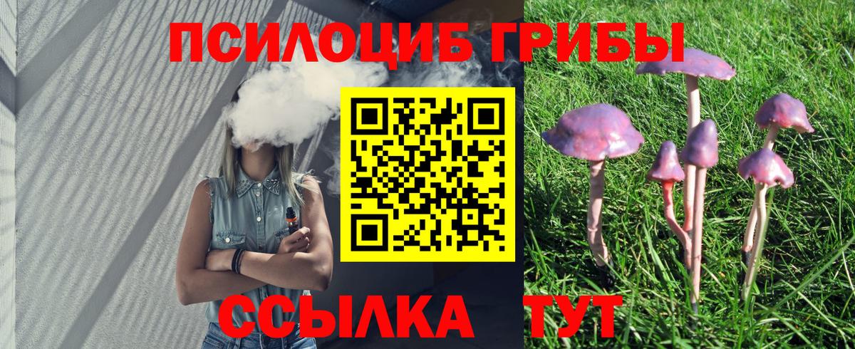 Псилоцибиновые грибы Psilocybine cubensis  Вход с VPN  Кировск  Галлюциногенные грибы ЛСД 